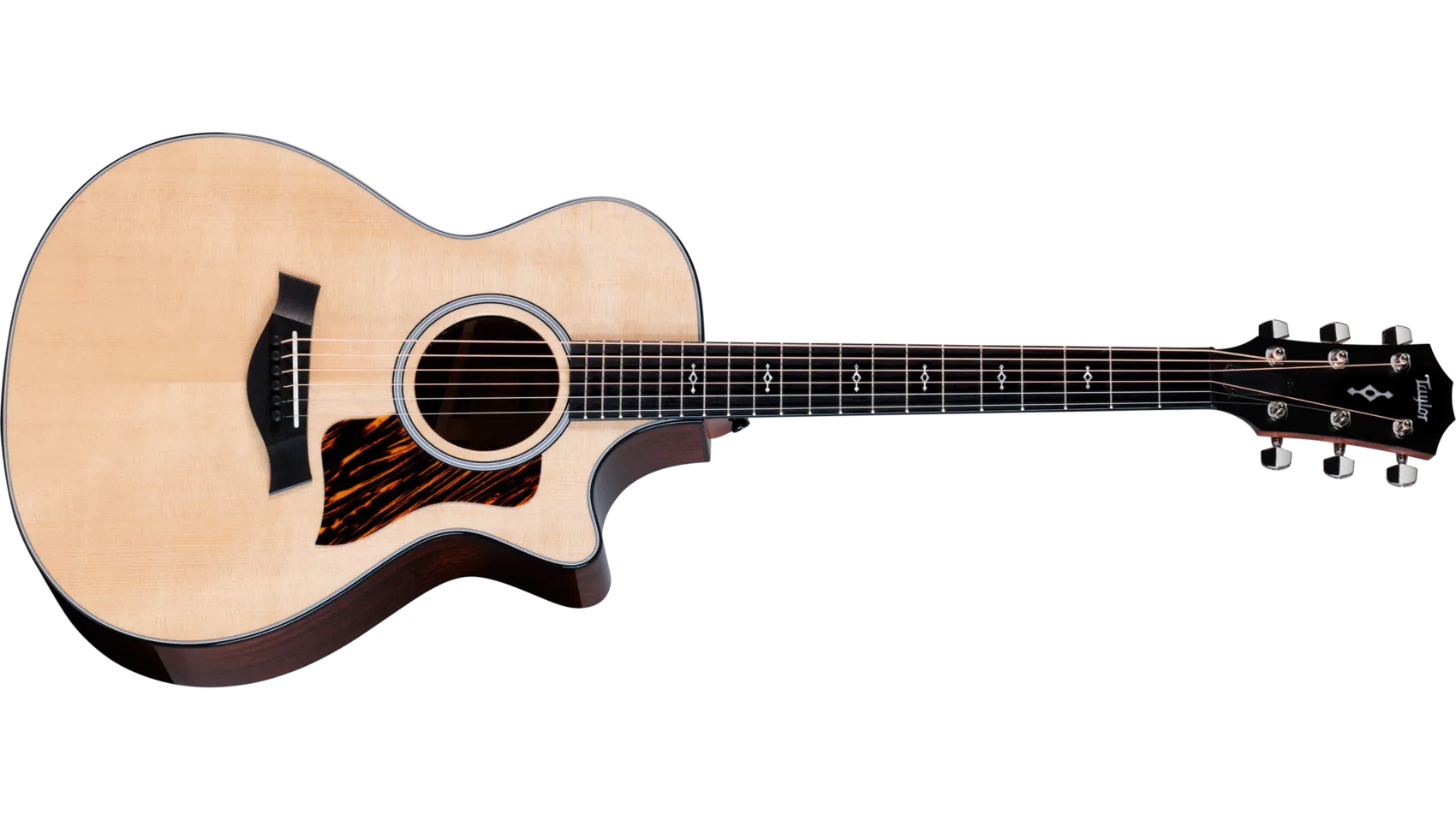 Taylor 312CE-N エレガットギター 極美品 Taylor-Guitar-Next Generation